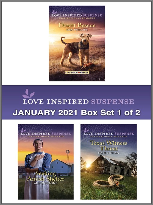 Title details for Harlequin Love Inspired Suspense January 2021--Box Set 1 of 2 by Lisa Phillips - Available